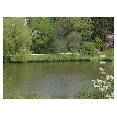 Hotel Haus Am Horn-Bad Meinberg